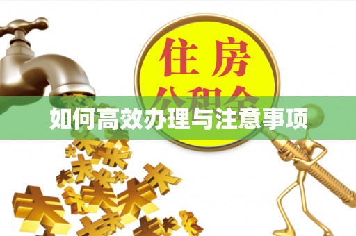 祁门如何高效办理与注意事项