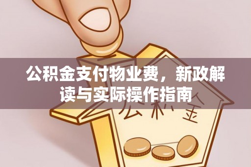 祁门公积金支付物业费，新政解读与实际操作指南